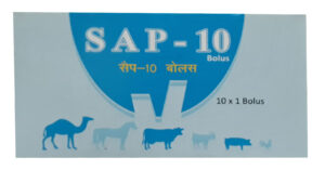 S.A.P 10 Bolus