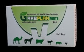 GrabPlan- Forte